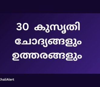 കുട്ടികള്ക്കുള്ള 30 കുസൃതി ചോദ്യങ്ങള് | Kusruthi Chodyangal 2024 in Malayalam | Chali Question