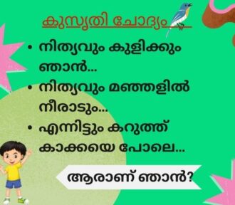 നിത്യവും കുളിക്കും ഞാൻ… നിത്യവും മഞ്ഞളിൽ നീരാടും…